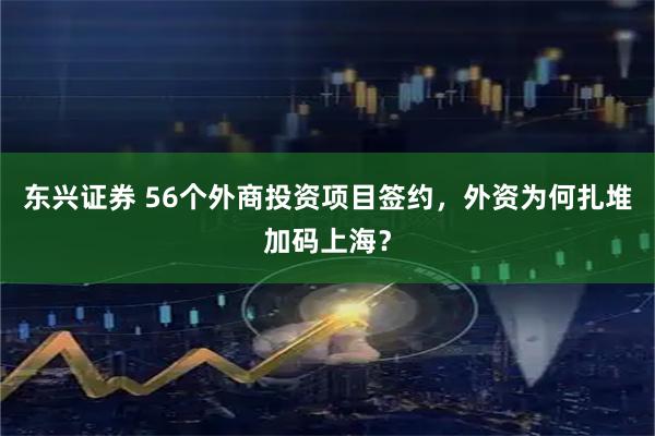 东兴证券 56个外商投资项目签约，外资为何扎堆加码上海？