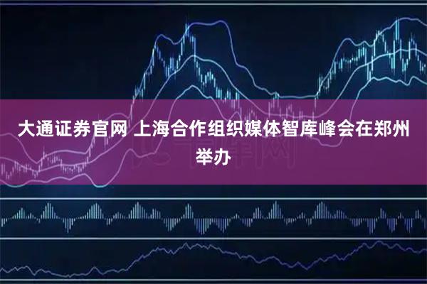 大通证券官网 上海合作组织媒体智库峰会在郑州举办